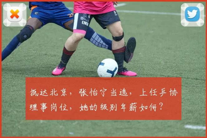 抵达北京，张怡宁当选，上任乒协理事岗位，她的级别年薪如何？