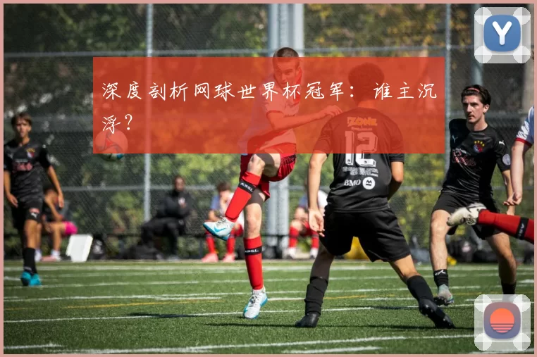 深度剖析网球世界杯冠军:谁主沉浮?