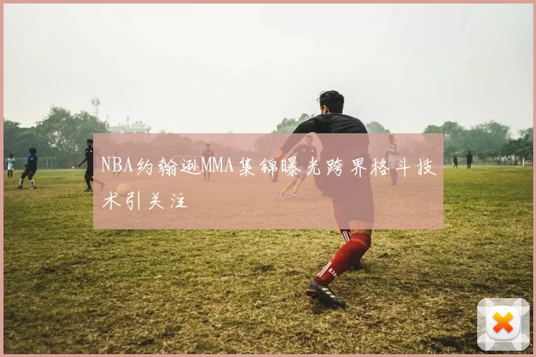 NBA约翰逊MMA集锦曝光跨界格斗技术引关注