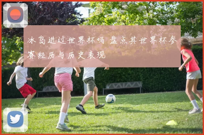 冰岛进过世界杯吗 盘点其世界杯参赛经历与历史表现