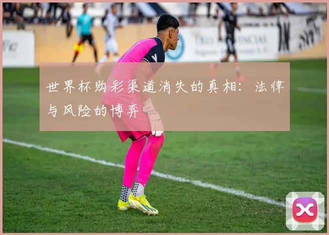 世界杯购彩渠道消失的真相:法律与风险的博弈