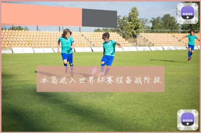 冰岛进入世界杯赛程备战阶段