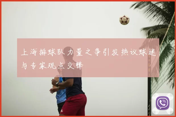 上海排球队力量之争引发热议球迷与专家观点交锋