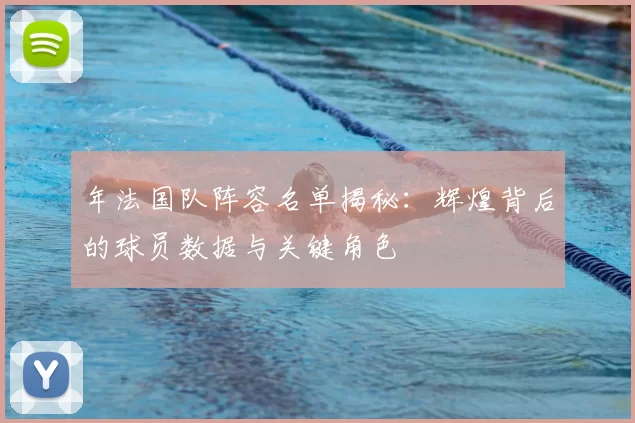 年法国队阵容名单揭秘：辉煌背后的球员数据与关键角色