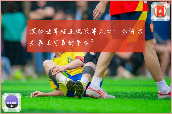 探秘世界杯正规买球入口：如何识别真正可靠的平台？