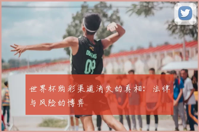 世界杯购彩渠道消失的真相:法律与风险的博弈
