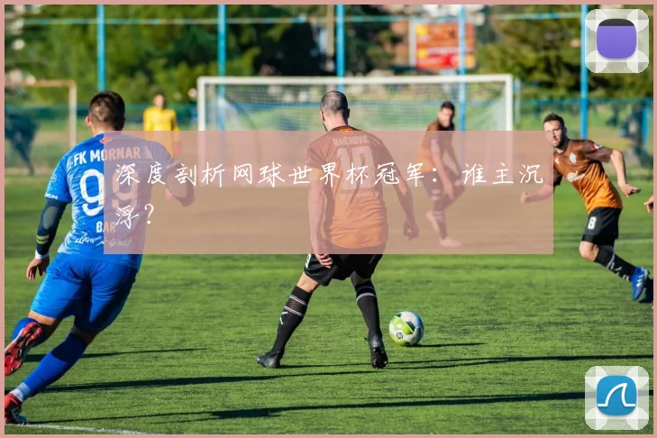 深度剖析网球世界杯冠军:谁主沉浮?