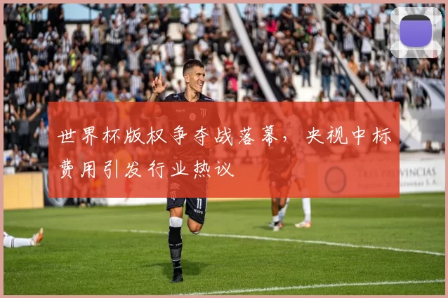 世界杯版权争夺战落幕,央视中标费用引发行业热议