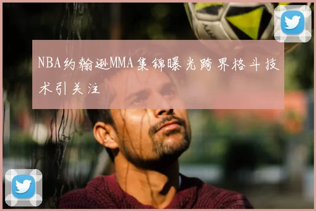 NBA约翰逊MMA集锦曝光跨界格斗技术引关注