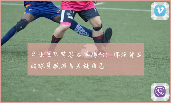 年法国队阵容名单揭秘:辉煌背后的球员数据与关键角色