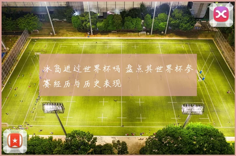 冰岛进过世界杯吗 盘点其世界杯参赛经历与历史表现