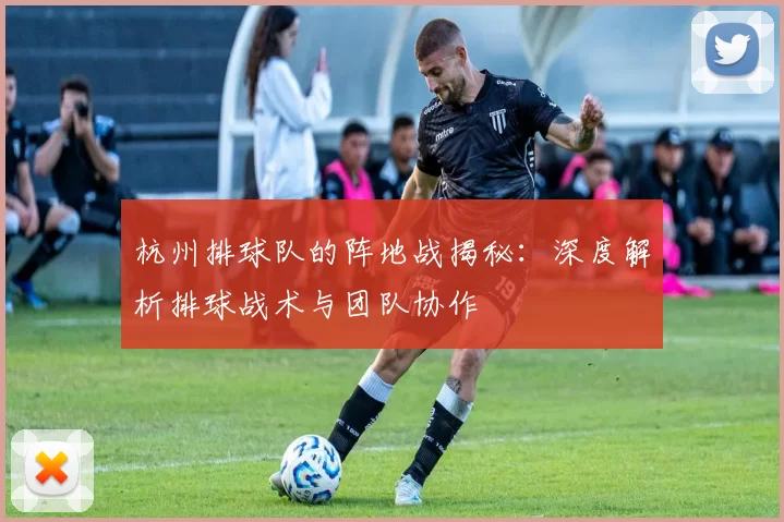 杭州排球队的阵地战揭秘：深度解析排球战术与团队协作