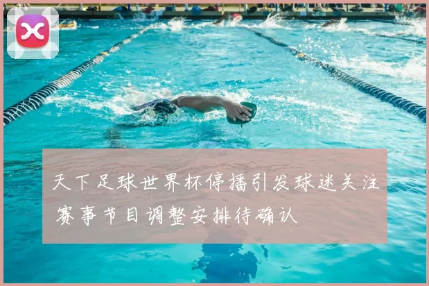 天下足球世界杯停播引发球迷关注 赛事节目调整安排待确认