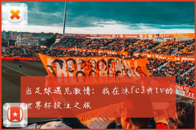 当足球遇见激情：我在沐fc3典tv的世界杯投注之旅